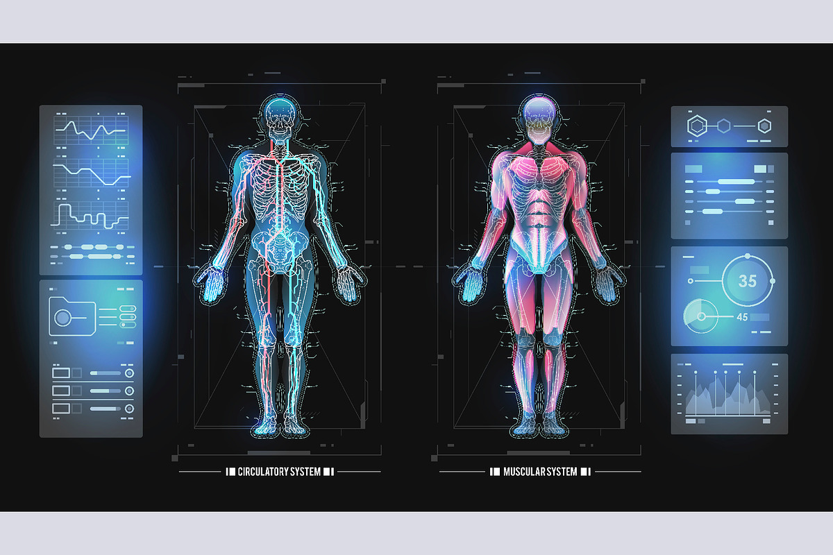 Human body HUD interface, a Technology Illustration by Andrew_Derr (Photo 1 of 4)