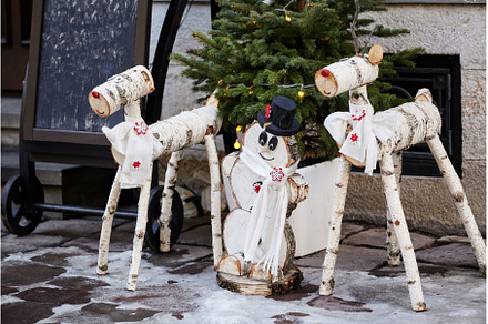 Birch Decorative Reindeer. Outdoor, a Holiday Photo by Rohan Photography