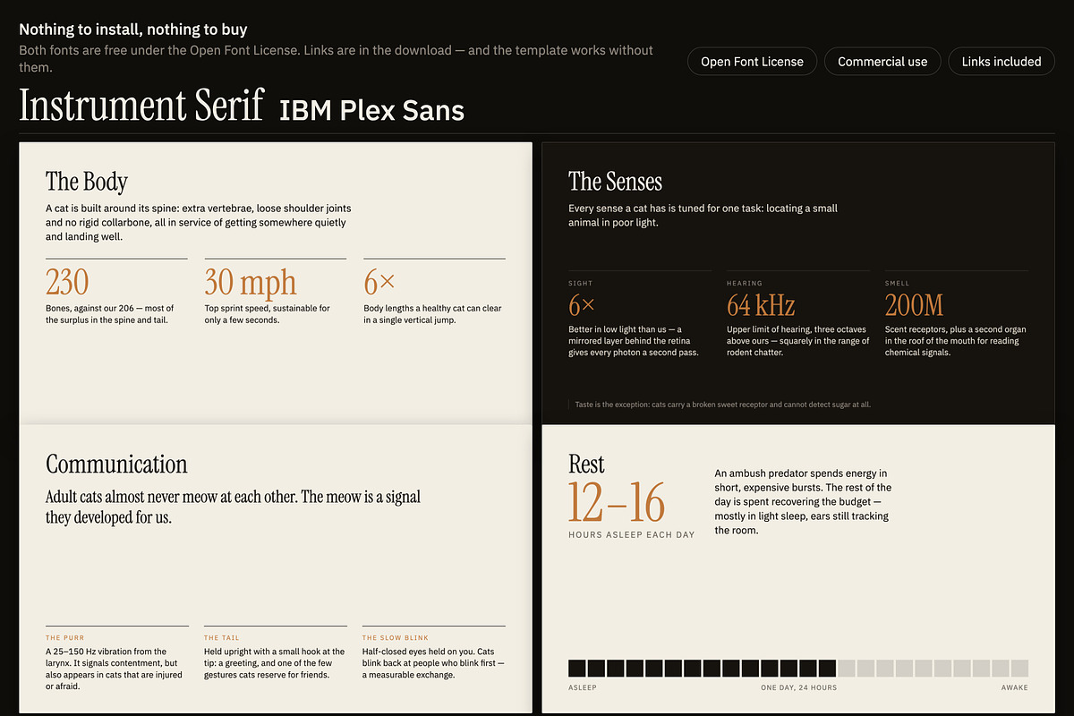 Understory Editorial Deck Template, a Presentation Template by Uno Creative Studio (Photo 9 of 10)