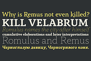 Anaphora - 22 Fonts, a Serif Font by Zetafonts (Thumbnail 5 of 11)