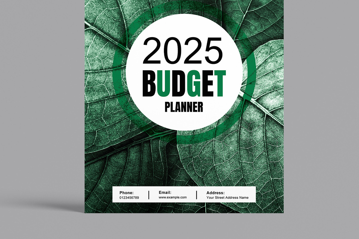 Budget Planner Template, a Stationery Template by MightyDesign (Photo 3 of 8)
