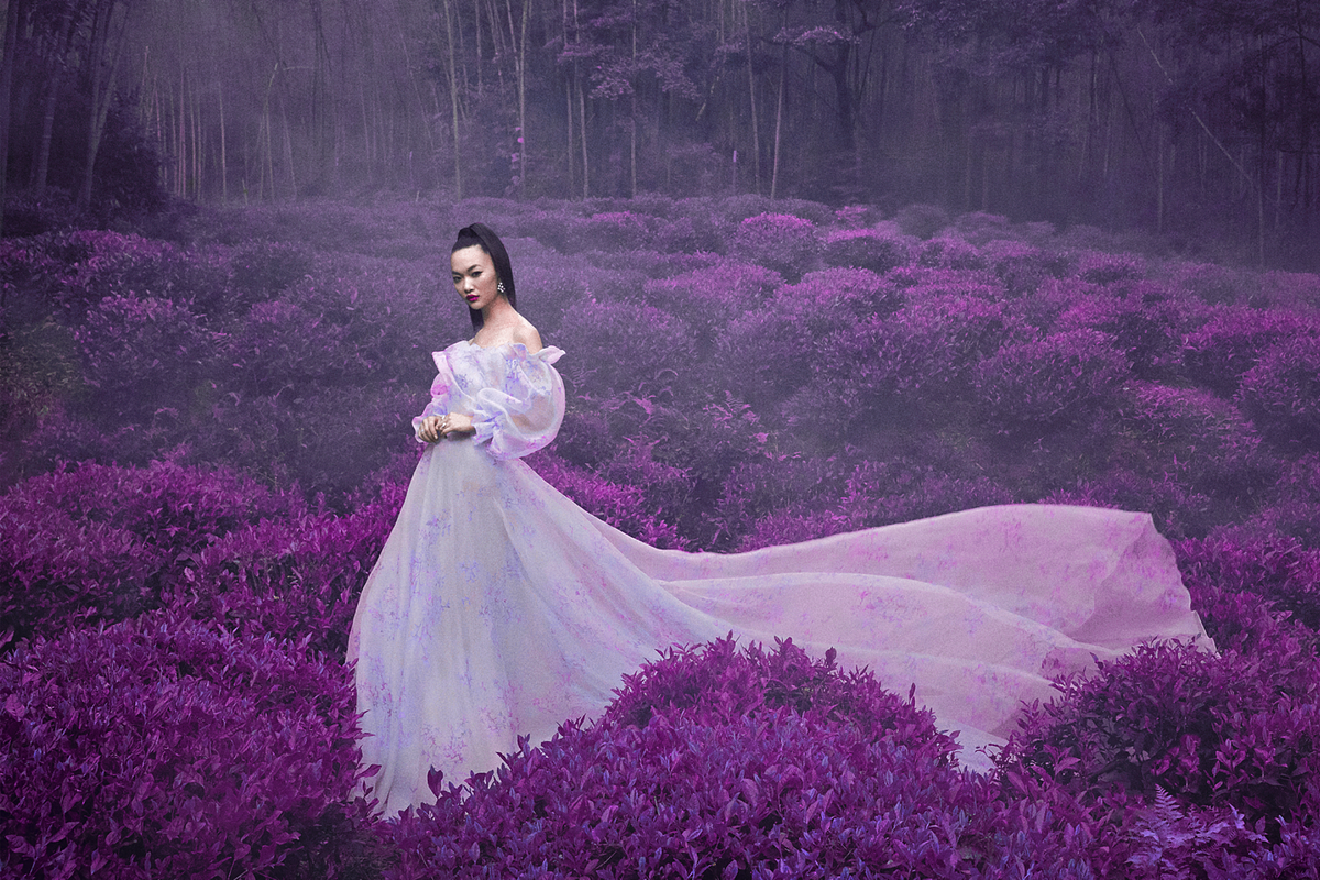 454 Infrared Fantasy Pro LUTs, a Preset Add-On by ShutterPro (Photo 16 of 48)