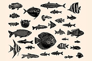 Fish Linocut Bundle, an Animal Illustration by ClayStudio (Thumbnail 2 of 8)