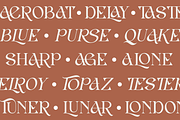 Lotus History - Elegant Ligatures, a Serif Font by Say Studio (Thumbnail 3 of 13)