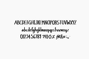 Small Write, a Script Font by TKDoodle (Thumbnail 6 of 7)