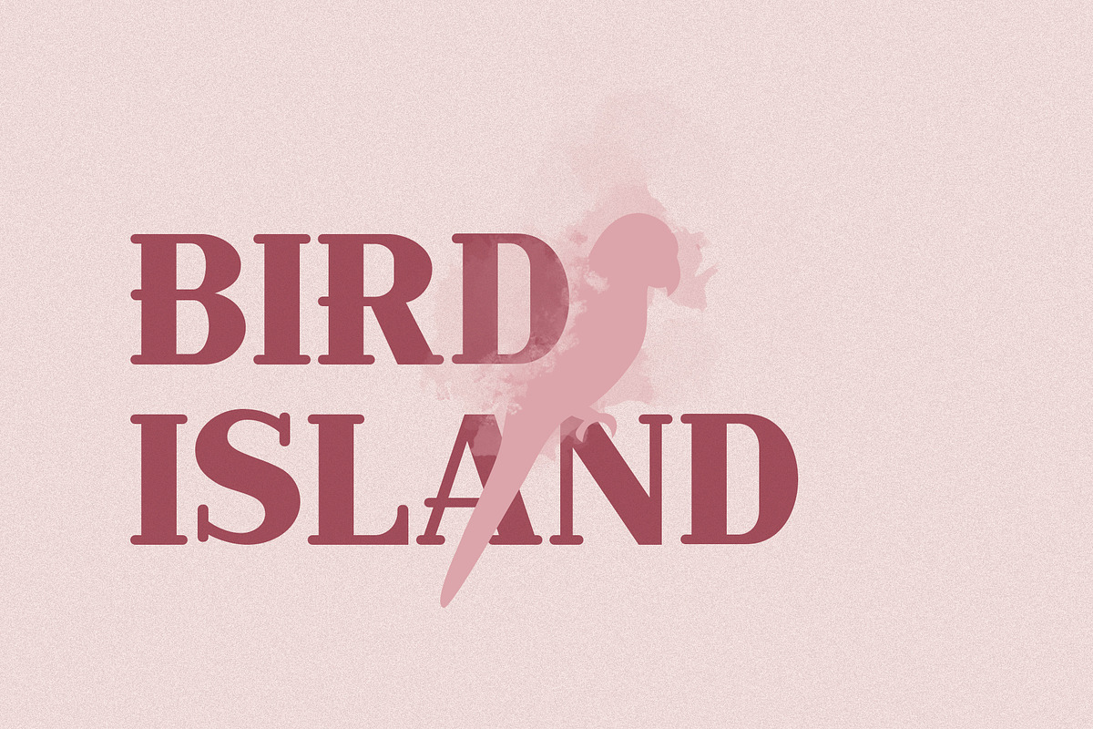 Samari - Modern Serif Font, a Serif Font by Design 265 (Photo 5 of 7)
