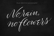 Chalk Script Procreate Brush Kit, a Brush Add-On by Molly Suber Thorpe (Thumbnail 15 of 16)