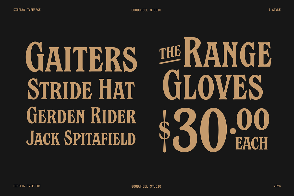 Mappleton, a Font by Goodwheel Studio (Photo 4 of 8)