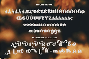 Black Orange - Retro Serif Font