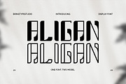 ALIGAN, a Font by BringTypeStudio (Thumbnail 1 of 7)