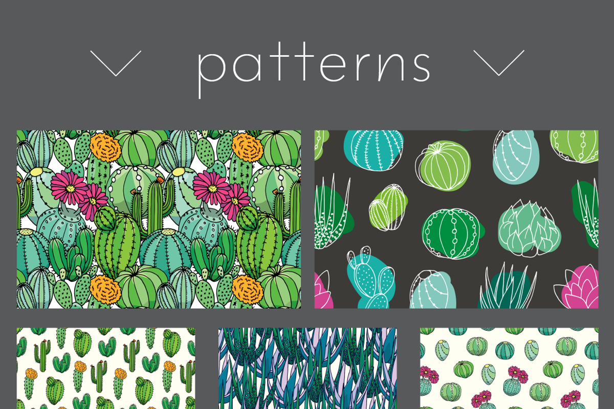 20 hand drawn cactuses & succulents, a Decorative Illustration by pixelwerk (Photo 4 of 5)