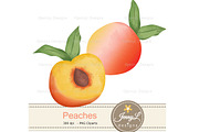 Peaches Digital Papers and Clipart, a Pattern Graphic by JennyL Designs (Thumbnail 3 of 7)