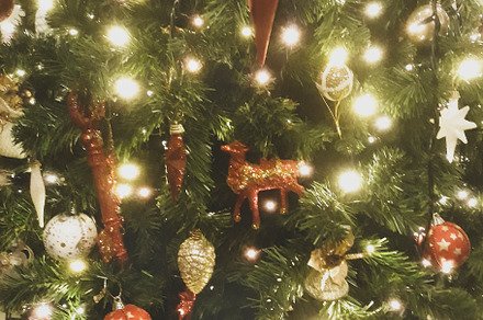 Christmas Tree Decoration Close Up, a Holiday Photo by DanFLCreativo