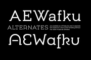UMBA Slab - Full Family, a Slab Serif Font by TypeThis!Studio (Thumbnail 8 of 9)