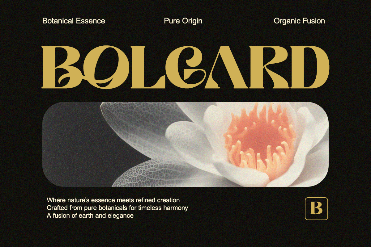 Filoptus - A Bold Modern Elegant, a Serif Font by Qweera Studio (Photo 3 of 12)