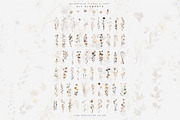 watercolor beige wildflower clipart, a Decorative Illustration by Patishop Art (Thumbnail 10 of 10)
