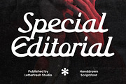 Special Editorial, a Script Font by Letter Fresh (Thumbnail 13 of 13)