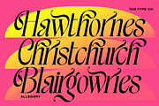 TAN - ALLEGORY, DUO FONT, a Serif Font by TanType (Thumbnail 3 of 10)