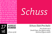 SchussSlabProItalic No.17 (1 Font), a Slab Serif Font by typic schuss (Thumbnail 1 of 7)
