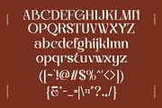 Oxelar - Luxury Editorial Serif Font, a Serif Font by Font Liner (Thumbnail 9 of 10)