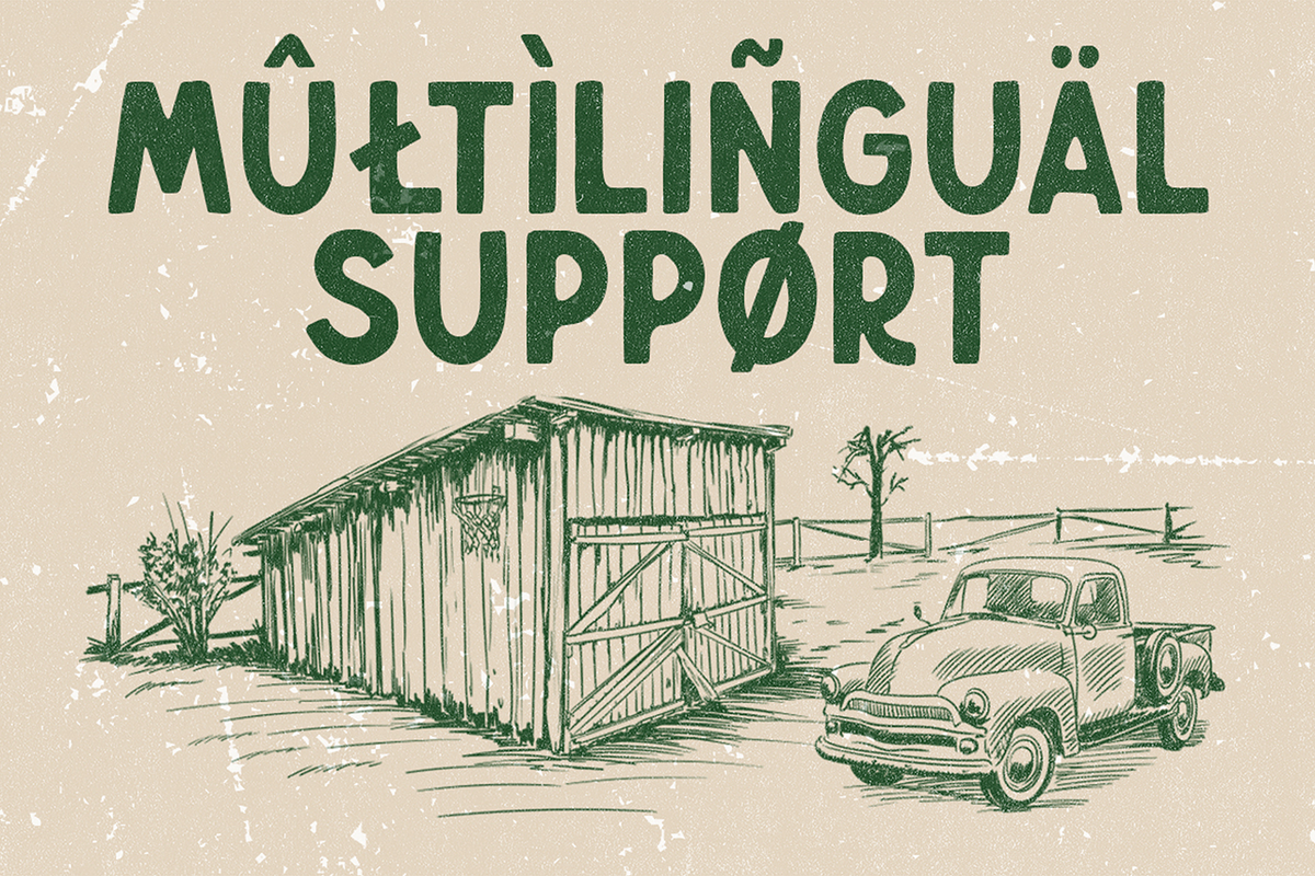 Wildboar - Vintage Display Font, a Sans Serif Font by Pekotype (Photo 5 of 15)