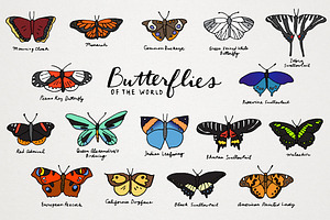 Butterflies of the World