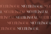 Kindel - Completed Collection, a Serif Font by VP Fonts (Thumbnail 13 of 44)