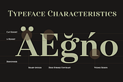 Haboro, a Font by insigne (Thumbnail 3 of 4)