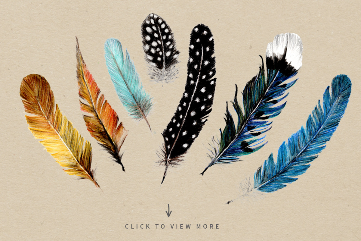 Feathers and Berries, an Illustration by Ingrid Marais Design (Photo 2 of 5)