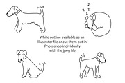 Cute doodle Fox Terriers, an Animal Illustration by Liz Pengilley Studio (Thumbnail 2 of 4)