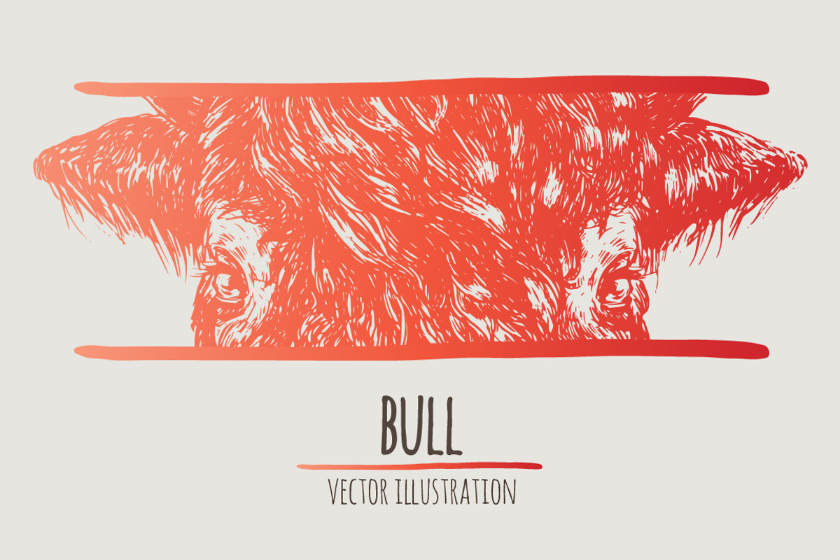 Bull, an Animal Illustration by adi katz (Photo 2 of 2)
