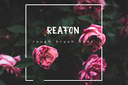 Reafon. Brush Font, a Handwritten Font by laura.design (Thumbnail 1 of 7)