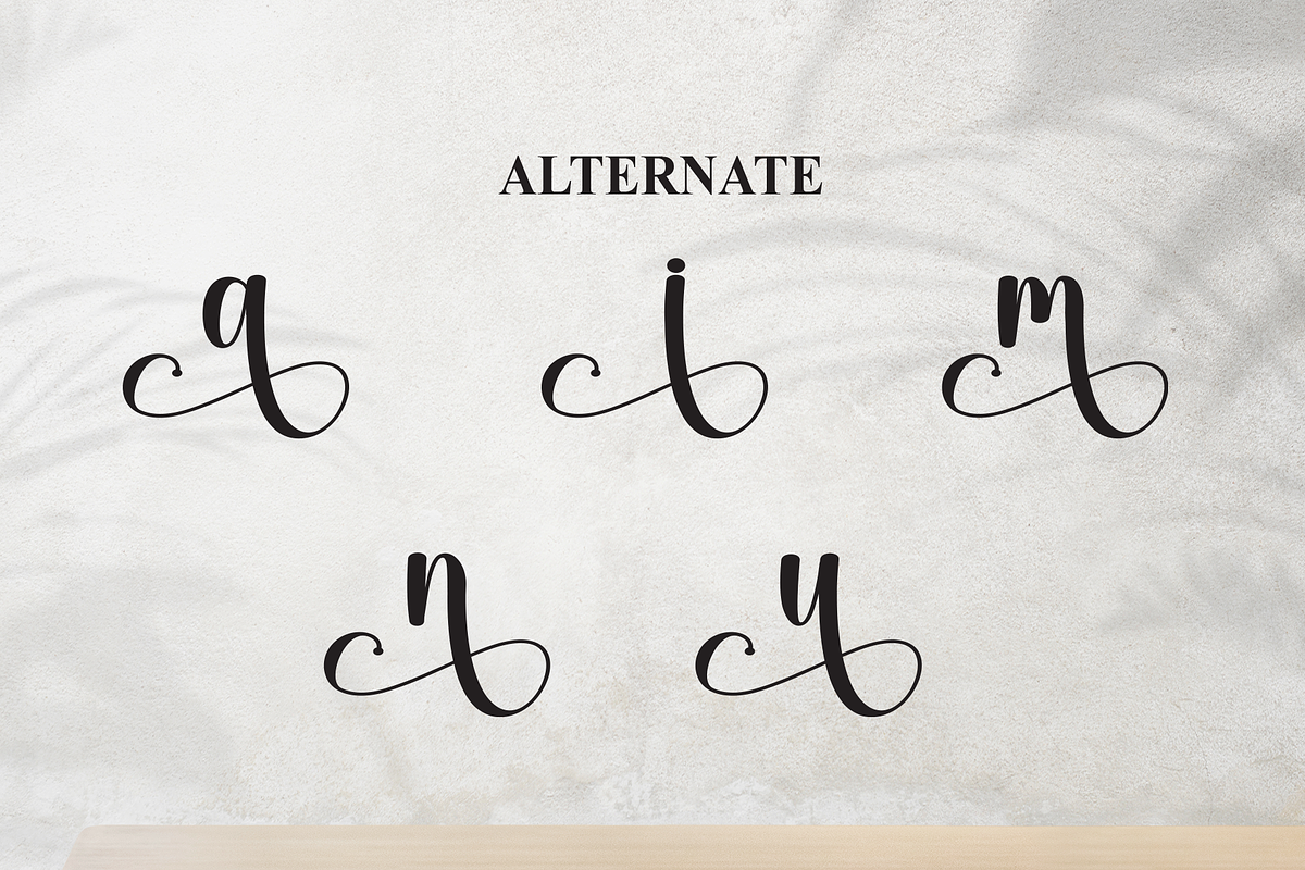 Alphabet | Script Font, a Handwritten Font by Scratchones (Photo 8 of 9)