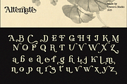 Catarsid - Retro Modern Serif, a Serif Font by Qweera Studio (Thumbnail 11 of 12)