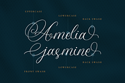 Amanda Calligraphy, a Script Font by RockboyStd (Thumbnail 8 of 12)