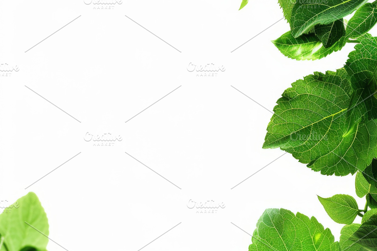 99 Frames of green leaves, a Nature Photo by Handmadefont (Photo 59 of 100)