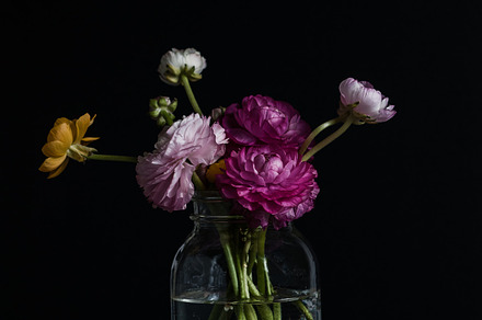 Flowers in a Jar, a Photo by Siân C Photography