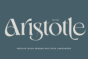 Roslyn Leigh - Display Serif, a Serif Font by 1871 Project (Thumbnail 12 of 17)