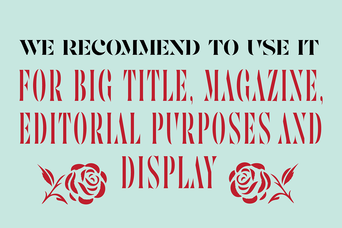 Astencil: Stencil Serif Font, a Serif Font by Andfonts (Photo 2 of 8)