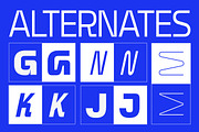 Cerant, a Sans Serif Font by Fargun Studio (Thumbnail 11 of 15)