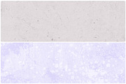 Soft Colored textures, a Texture Graphic by LuOtero (Thumbnail 4 of 5)