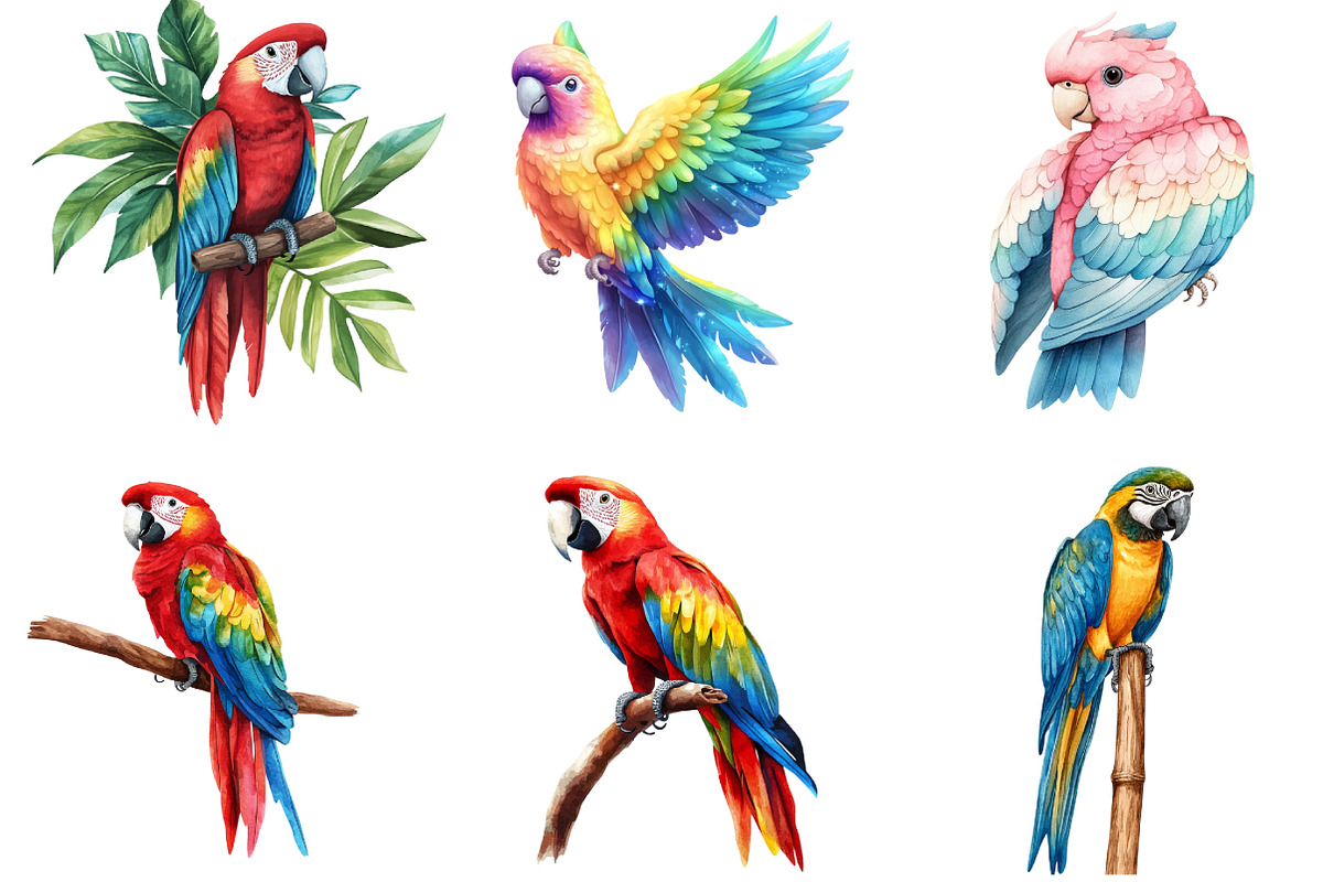 Parrots Watercolor Clipart, an Illustration by DreamArtGraphic (Photo 2 of 5)