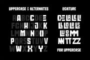 Equalizer, a Sans Serif Font by Negara Studio (Thumbnail 4 of 10)