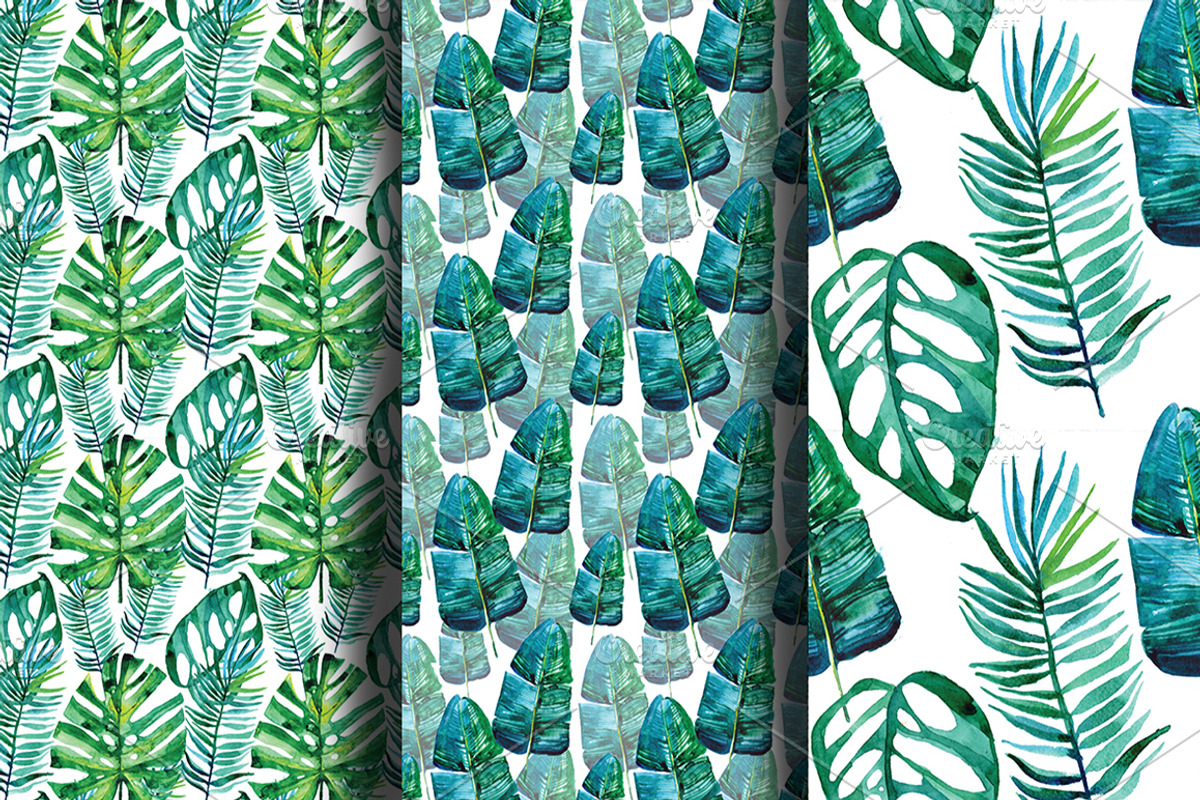 Watercolor tropical leaves, an Illustration by Olesya Morokhovets (Photo 7 of 8)