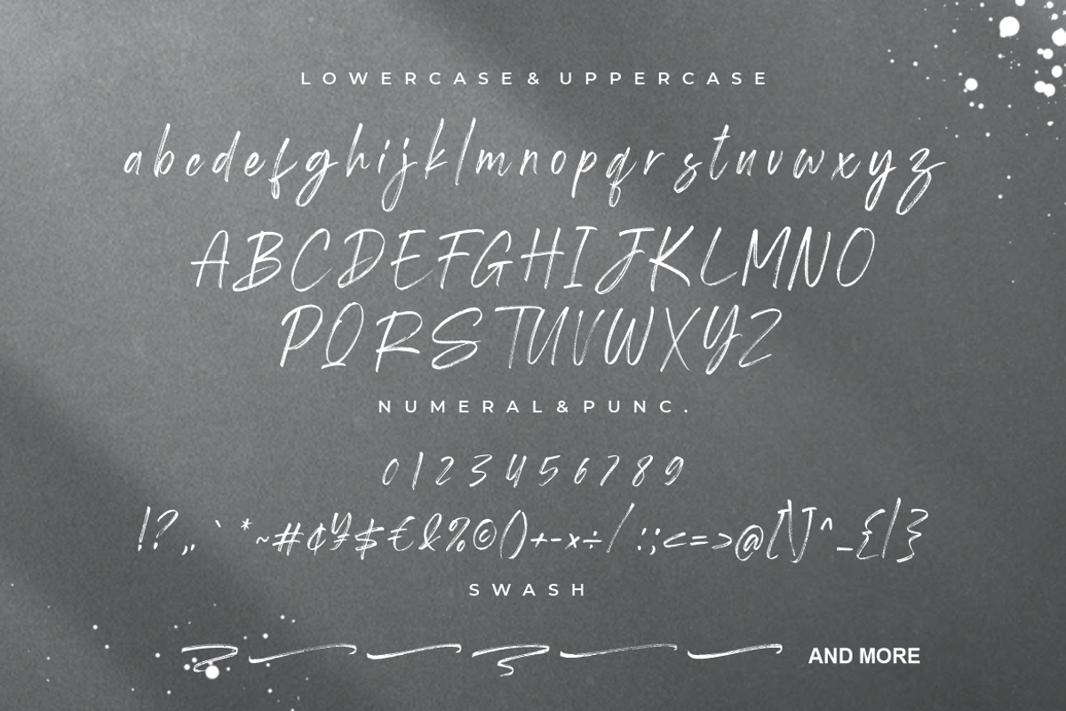 Shutterland Handbrush Script, a Script Font by Creatype Studio (Photo 8 of 9)