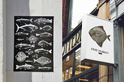 Most popular edible sea fishes, a Food Illustration by handsketched (Thumbnail 7 of 14)