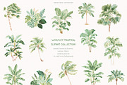 Whimsy Tropical Clipart Collection, an Animal Illustration by PeDe Designs (Thumbnail 5 of 11)