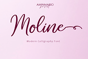 Moline, a Script Font by AMINMARIO (Thumbnail 1 of 12)