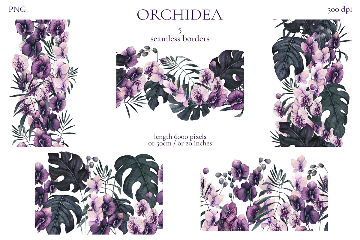 Orchidea, an Illustration by Salted Galaxy (Photo 9 of 11)