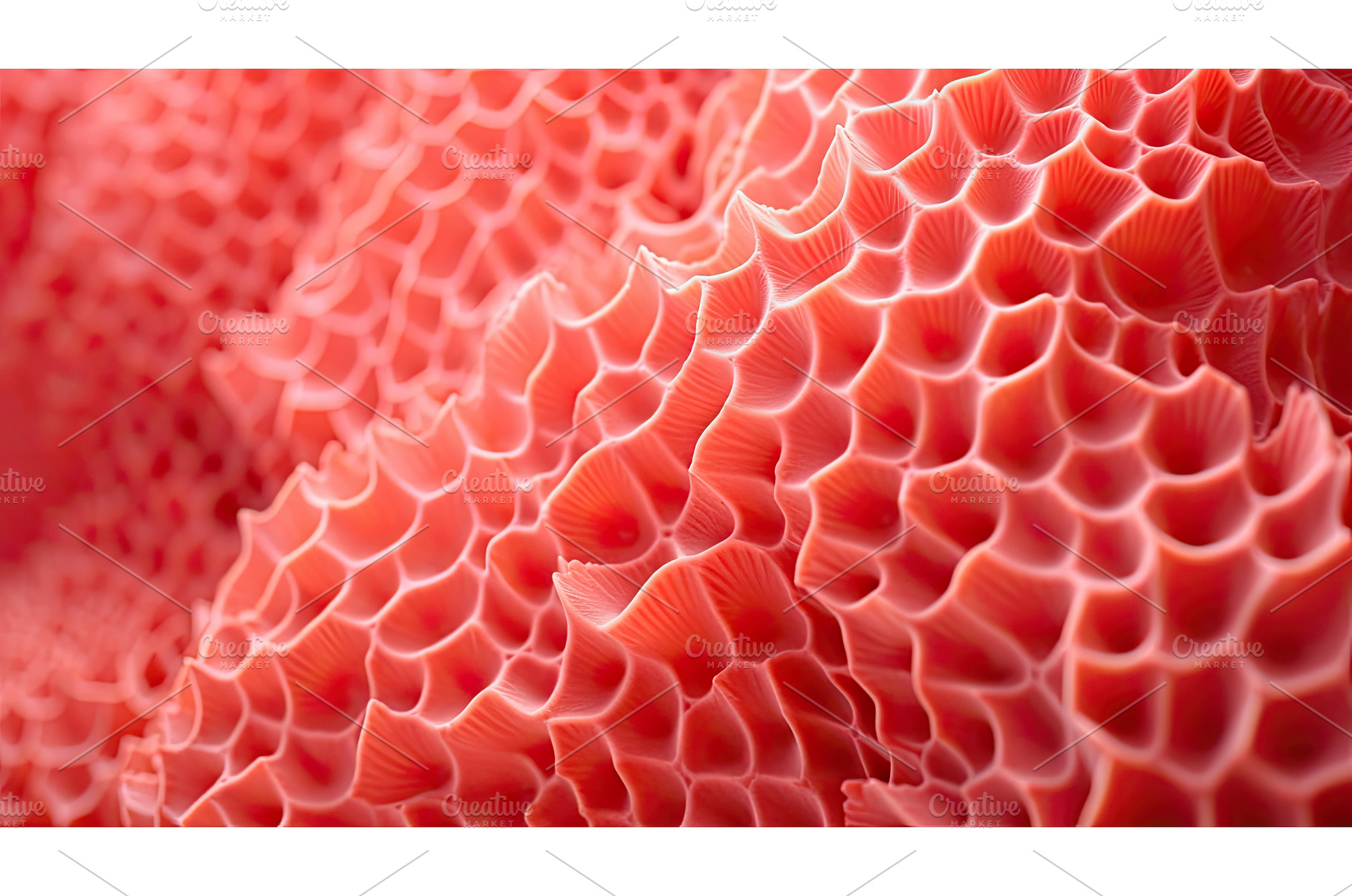 ocean coral gradient ai generated, an Animal Photo by pikepicture